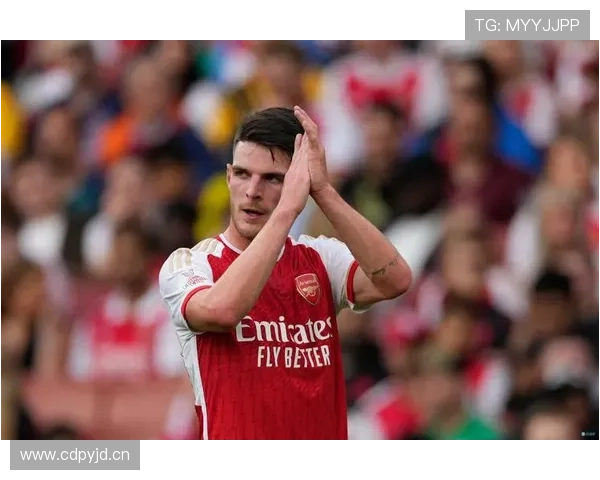 赖斯从铁锤帮队长到亿元先生的成长轨迹解析