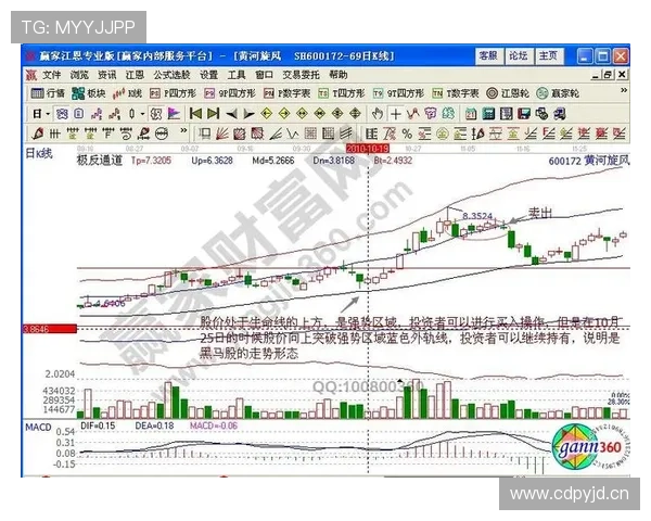 E组黑马机会与风险分析